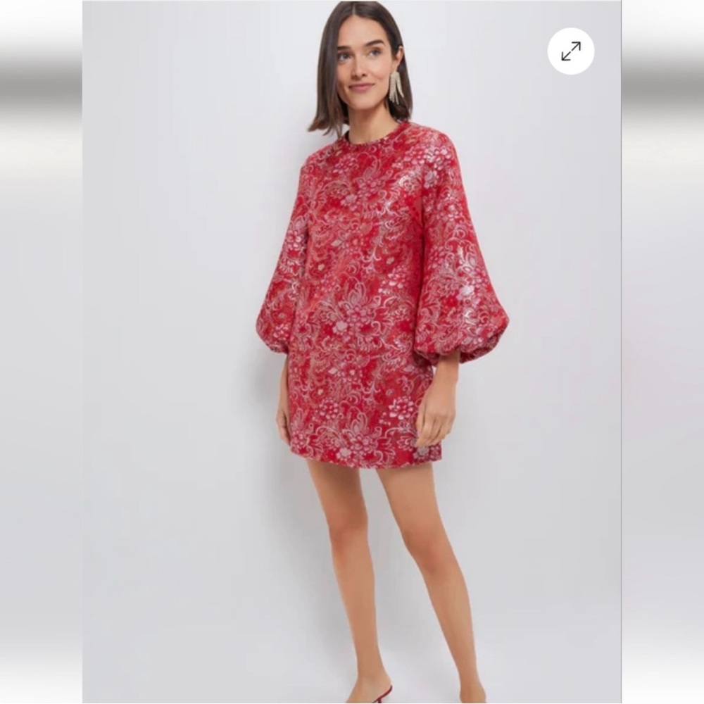 Hyacinth House Red Jacquard Janie Mini Dress ballon Sleeve NWT large - Picture 2 of 12